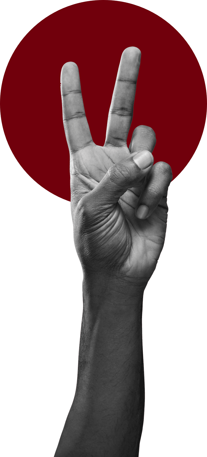 Peace sign hand
